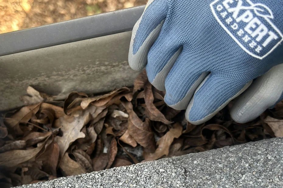 Austin Gutter Cleaning