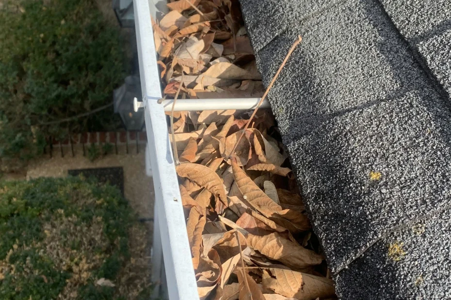 Austin Gutter Cleaning