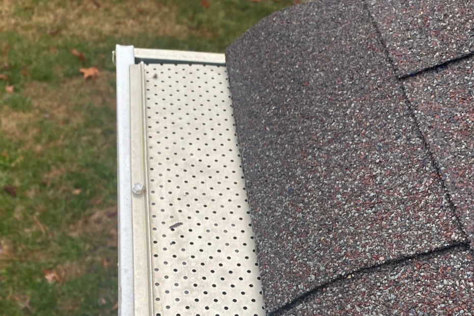 Austin Gutter Cleaning